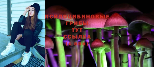 мяу мяу мука Армянск
