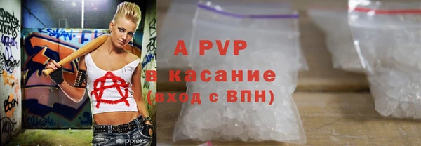 стаф Арсеньев