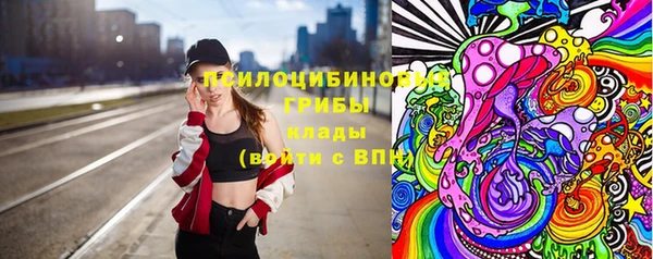 стаф Арсеньев