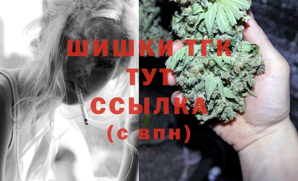 круглые Аркадак