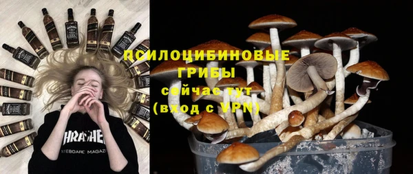стаф Арсеньев