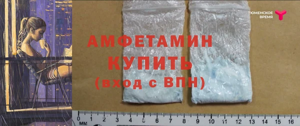стаф Арсеньев