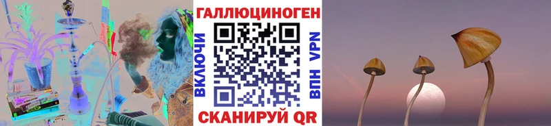закладки darknet какой сайт Псилоцибиновые грибы мухоморы Поронайск